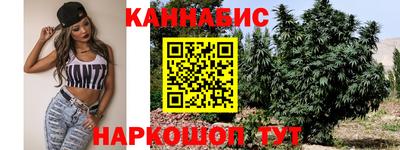 apvp Аргун