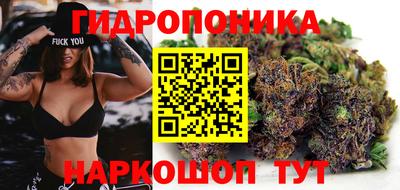 apvp Аргун