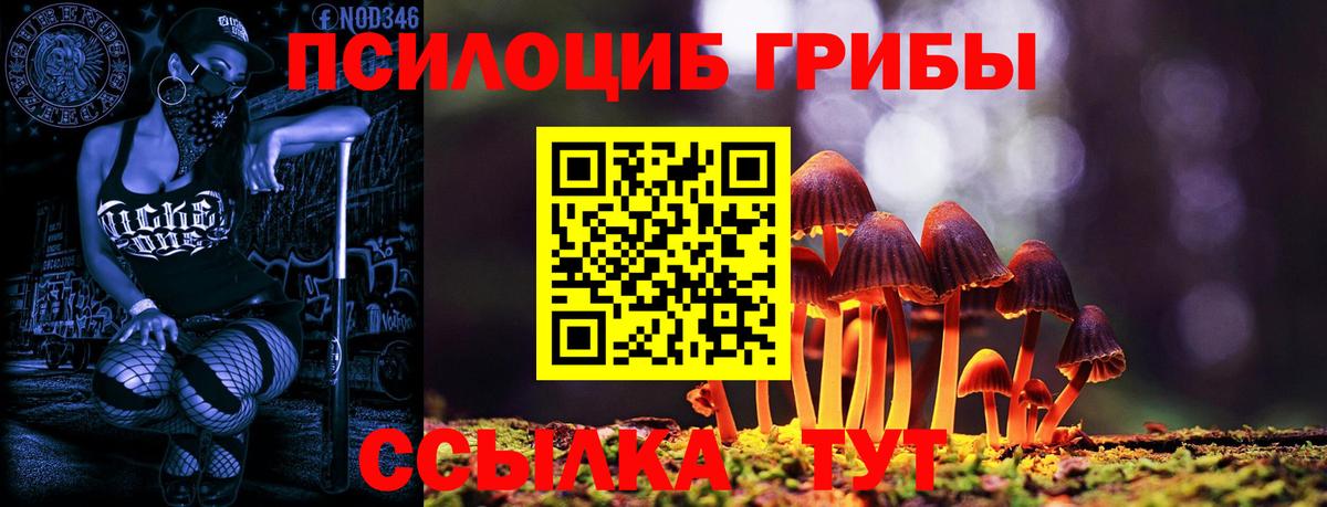 Галлюциногенные грибы мухоморы Братск