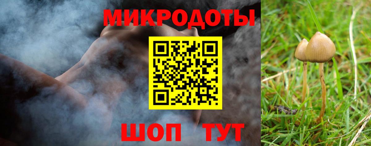 Галлюциногенные грибы мухоморы  Галлюциногенные грибы MAGIC MUSHROOMS  Вход с VPN  что такое наркотик  Братск 